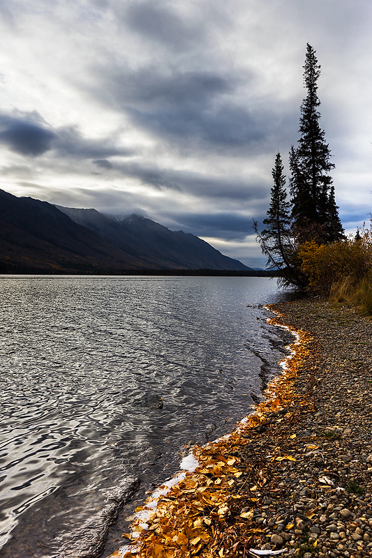 Lake near Carcross - Yukon
